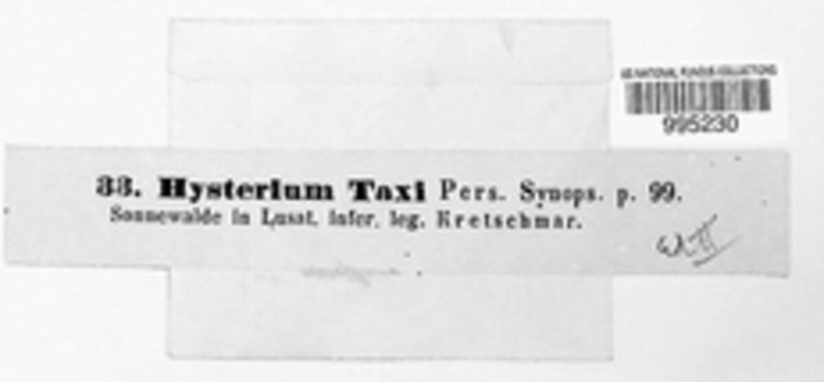 Hysterium taxi image